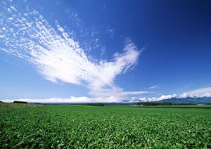 浜松市の安心できる葬儀を提供【富士葬祭 高林】?家族葬・一般葬に最適な斎場とサービスを解説