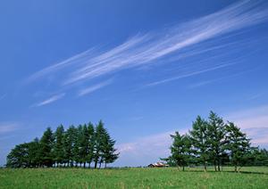 静岡県浜松市での家族葬に最適な斎場!2024年新オープンの家族葬のタクセル有玉南町の特徴と利用メリット