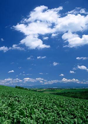 静岡県島田市で信頼できる家族葬・小規模葬儀を提供する富士葬祭 六合の詳細ガイド