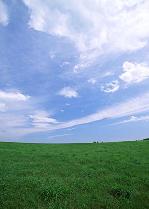 流山市で信頼できる葬儀社を探しているのならば