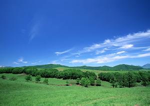 浜松市中央区に位置する富士葬祭三方原:心温まる家族葬と安心の葬儀サービスのご案内