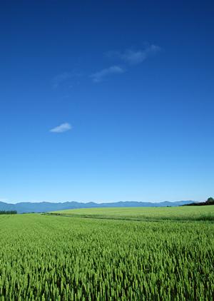 葬儀の事を相談するなら信頼と安心が重要