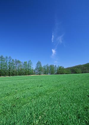 静岡市の家族葬・一般葬に対応した安心の葬儀場【富士葬祭 瀬名】の魅力と店舗情報