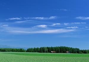 信頼できる葬儀社ならベルベ玉鳳院
