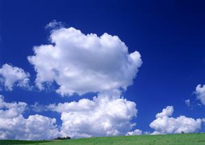 【公式】家族葬のタクセル下岡本町|栃木県宇都宮市の安心で低価格な家族葬専門斎場