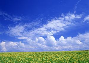 静岡市駿河区にある家族葬専門の葬儀場「家族葬のタクセル西中原」?安心・低価格での家族葬を実現