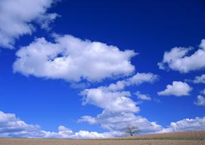 静岡県富士市青島に位置する家族葬に最適な葬儀場「富士葬祭 富士青島」詳細と特徴解説