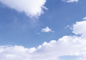 東京で永代供養を利用するならこちら