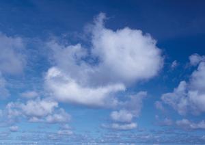 個性に合わせた家族葬が高崎でできる