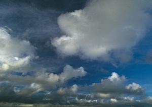 家族葬を行ってくれる徳島の葬祭会社