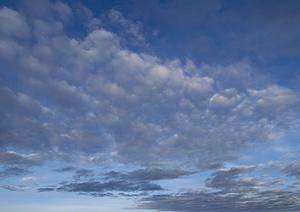 【403 Forbiddenエラー解説】原因と対策を徹底解説!ウェブサイトアクセス制限の仕組みと解決法