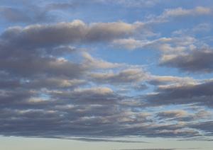 千葉県野田市に位置するティア野田:安心・信頼の葬儀サービスと充実した特徴